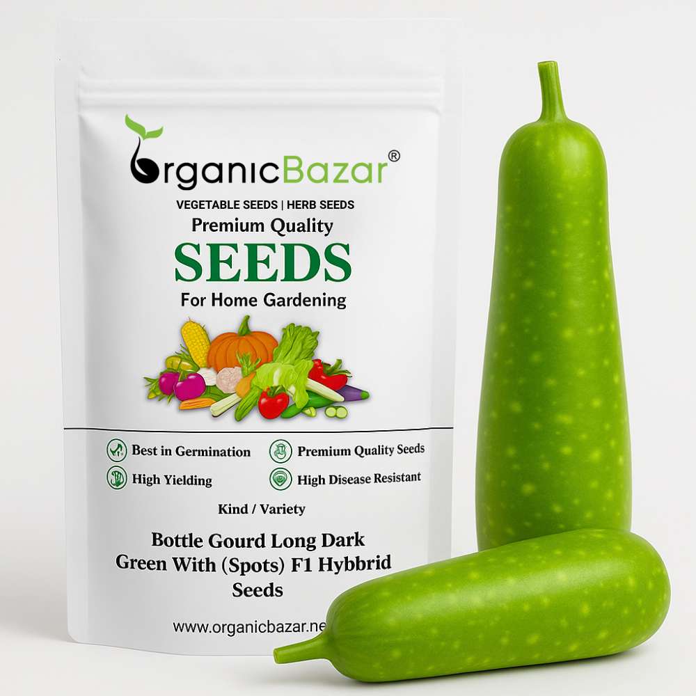 Bottle Gourd Long Dark Green With (Spots) F1 Hybrid Seeds - 12 Seeds (Lambi Lauki/ Ghiya/ लंबी लौकी के बीज) Easy To grow, High Germination, High Yield,  Perfect Seeds for Terrace gardening
