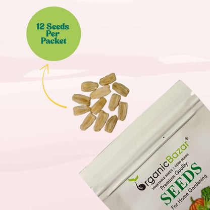 Bottle Gourd Medium Long Seeds - 12 Seeds (Lauki/ Ghiya/ लौकी के बीज) Easy To grow, High Germination, High Yield, Perfect Seeds for Terrace gardening