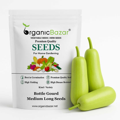 Bottle Gourd Medium Long Seeds - 12 Seeds (Lauki/ Ghiya/ लौकी के बीज) Easy To grow, High Germination, High Yield, Perfect Seeds for Terrace gardening
