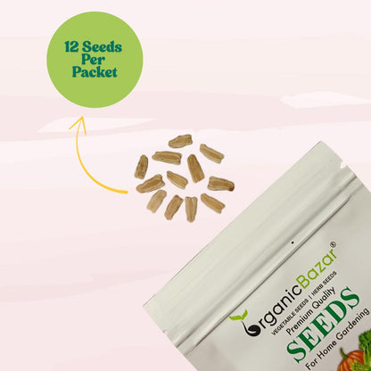 Bottle Gourd (Lauki / Ghiya) Oval Round Seeds - 12 Seeds (गोल लौकी के बीज) Easy To grow, High Germination, High Yield,  Perfect Seeds for Terrace gardening