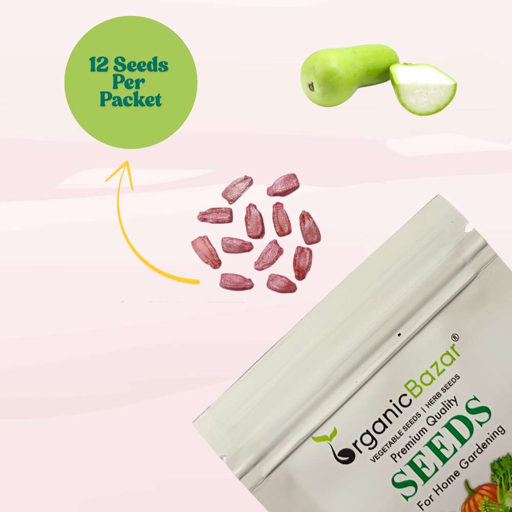 Bottle Gourd (Short And Thick) Seeds - 12 Seeds (Lauki/ Ghiya/ लौकी के बीज) Easy To grow, High Germination, High Yield,  Perfect Seeds for Terrace gardening