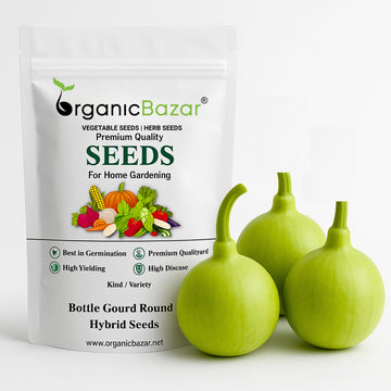 Bottle Gourd Round F1 Hybrid Seeds - 12 Seeds (गोल लौकी के बीज) Easy To grow, High Germination, High Yield,  Perfect Seeds for Terrace gardening
