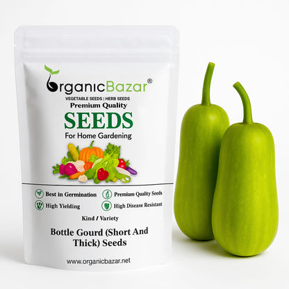 Bottle Gourd (Short And Thick) Seeds - 12 Seeds (Lauki/ Ghiya/ लौकी के बीज) Easy To grow, High Germination, High Yield,  Perfect Seeds for Terrace gardening