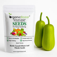 Bottle Gourd (Short And Thick) Seeds - 12 Seeds (Lauki/ Ghiya/ लौकी के बीज) Easy To grow, High Germination, High Yield,  Perfect Seeds for Terrace gardening