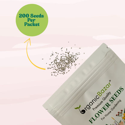 Brachycome Mix Flower Seeds (200 Seeds) High germination/Easy To grow/ Perfect for pots, balconies, or Terrace gardens