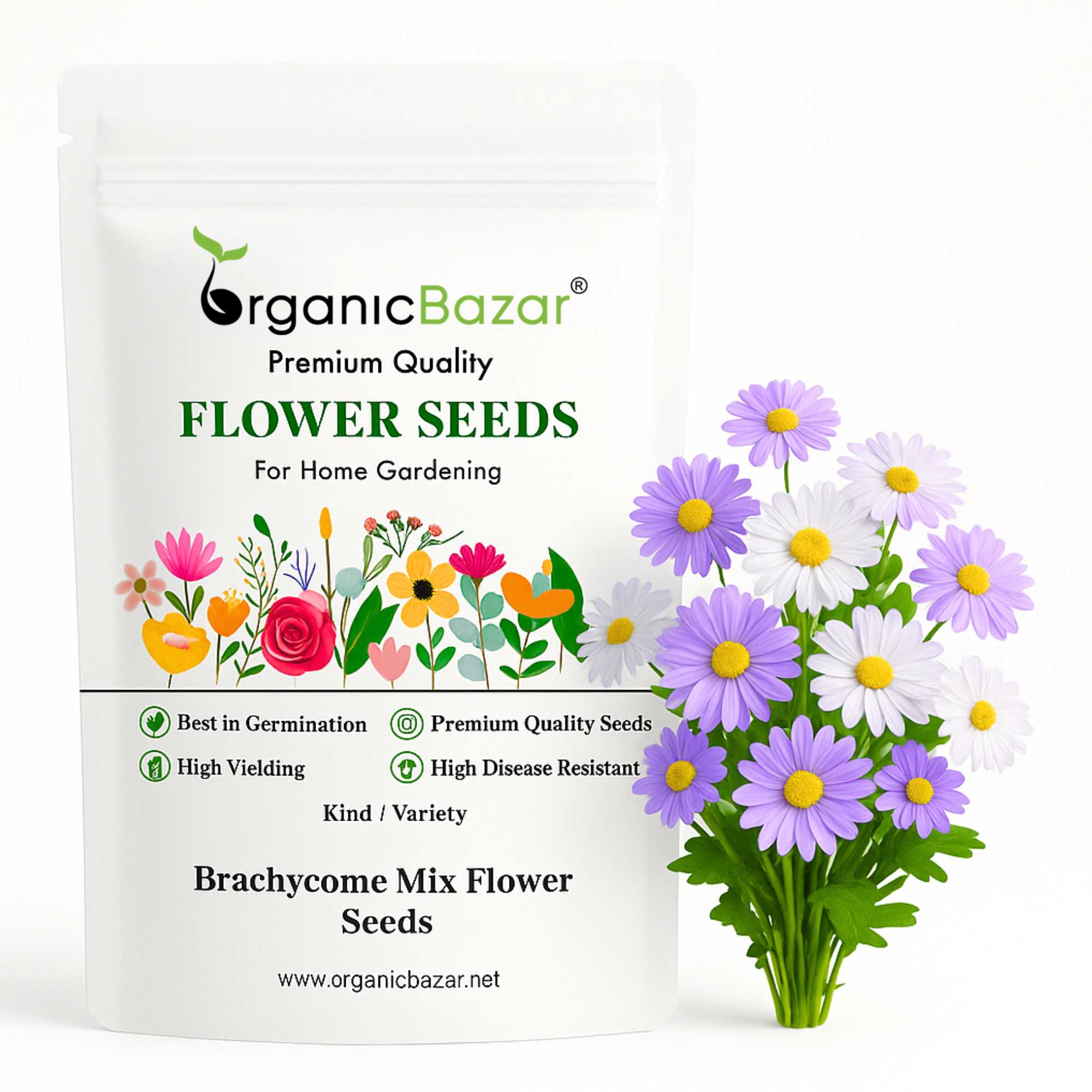 Brachycome Mix Flower Seeds (200 Seeds) High germination/Easy To grow/ Perfect for pots, balconies, or Terrace gardens