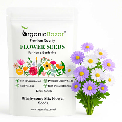 Brachycome Mix Flower Seeds (200 Seeds) High germination/Easy To grow/ Perfect for pots, balconies, or Terrace gardens