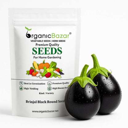 Brinjal Black Round Seeds - (50 Seeds) High Germination/ High Yield / Ideal for Terrace/Kitchen Gardening (Baingan/eggplant/ बैंगन के बीज)