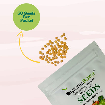 Brinjal Black Thin Long Seeds - (50 Seeds) High Germination/ High Yield / Ideal for Terrace/Kitchen Gardening  (Baingan/eggplant/ बैंगन के बीज)