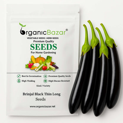 Brinjal Black Thin Long Seeds - (50 Seeds) High Germination/ High Yield / Ideal for Terrace/Kitchen Gardening  (Baingan/eggplant/ बैंगन के बीज)