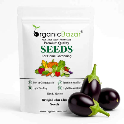 Brinjal Chu Chu Seeds - (50 Seeds) High Germination/ High Yield / Ideal for Terrace/Kitchen Gardening (Baingan/eggplant/ बैंगन के बीज)