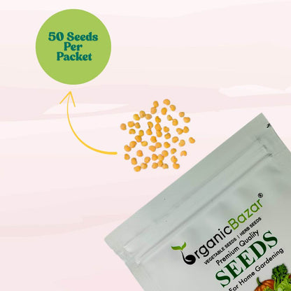 Brinjal White Long Seeds - (50 Seeds) High Yield/ High Germination / Perfect for Terrace/Kitchen Gardening (Baingan/eggplant/ बैंगन के बीज)