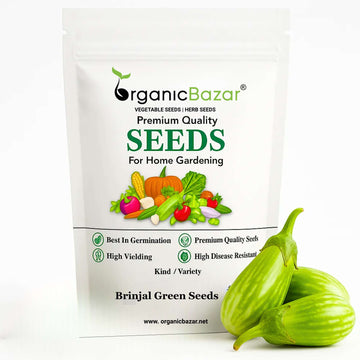 Brinjal Green Seeds - (50 Seeds) High Germination/ High Yield / Ideal for Terrace/Kitchen Gardening (Hara Baingan/eggplant/हरा बैंगन के बीज)