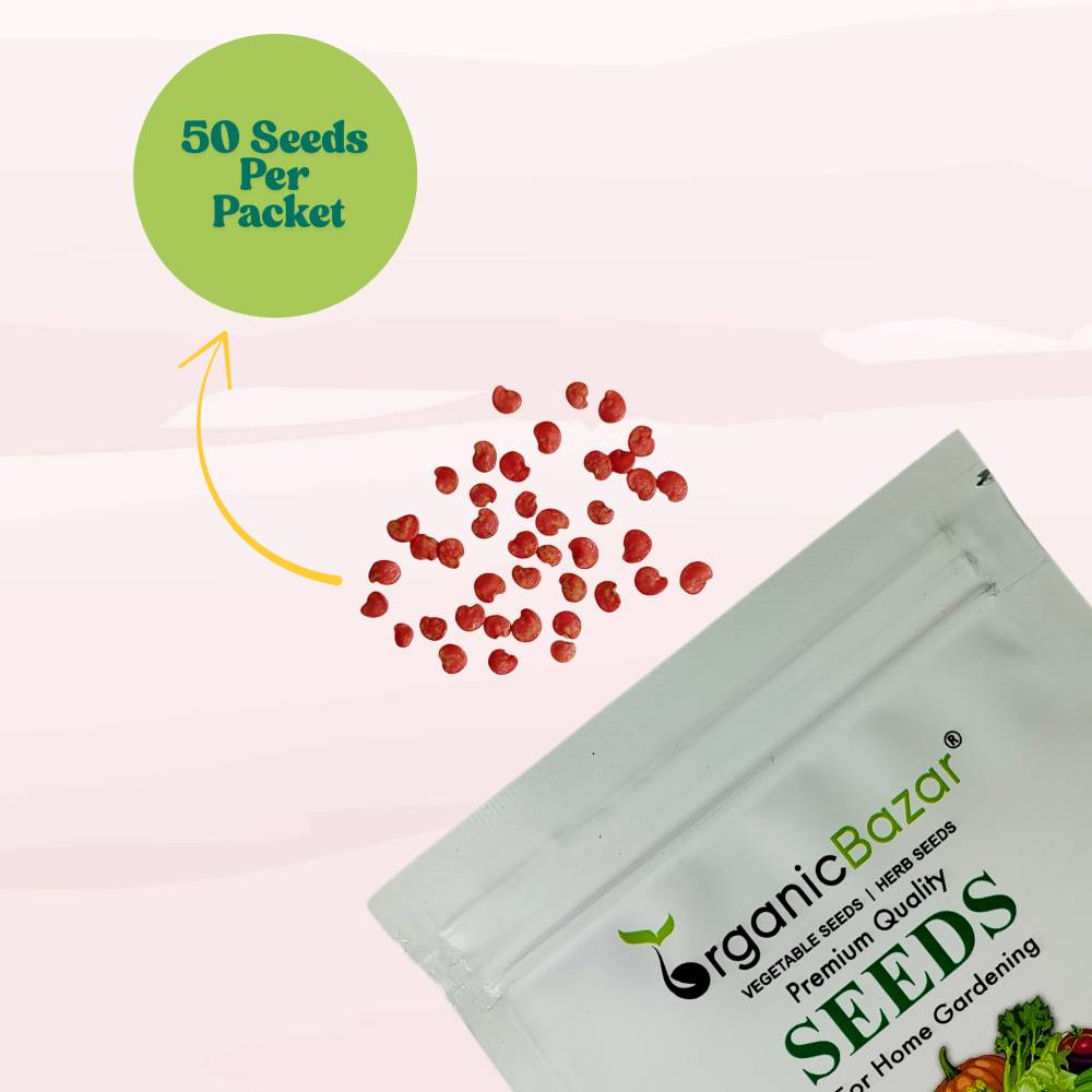 Brinjal Light Purple Long Seeds - (50 Seeds) High Germination/ High Yield / Ideal for Terrace/Kitchen Gardening (Bainganee Baingan/Eggplant/बैंगनी बैंगन के बीज)