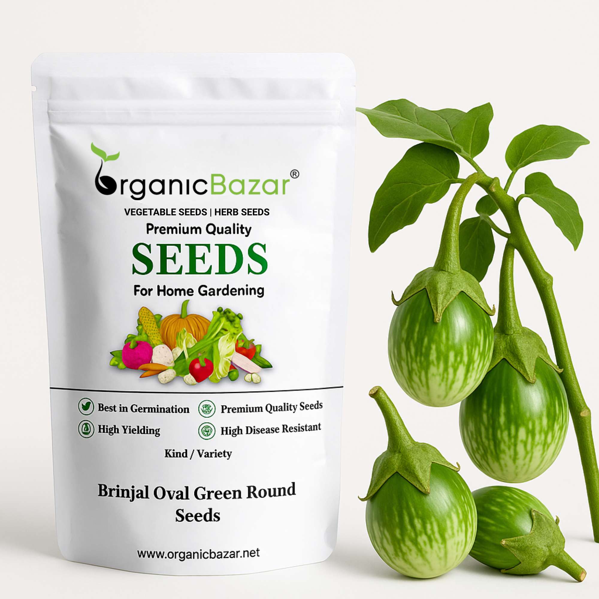 Brinjal Oval Green Round F1 Hybrid Seeds - (50 Seeds) High Germination/ High Yield / Ideal for Terrace/Kitchen Gardening (Baingan/Eggplant/बैंगन के बीज)