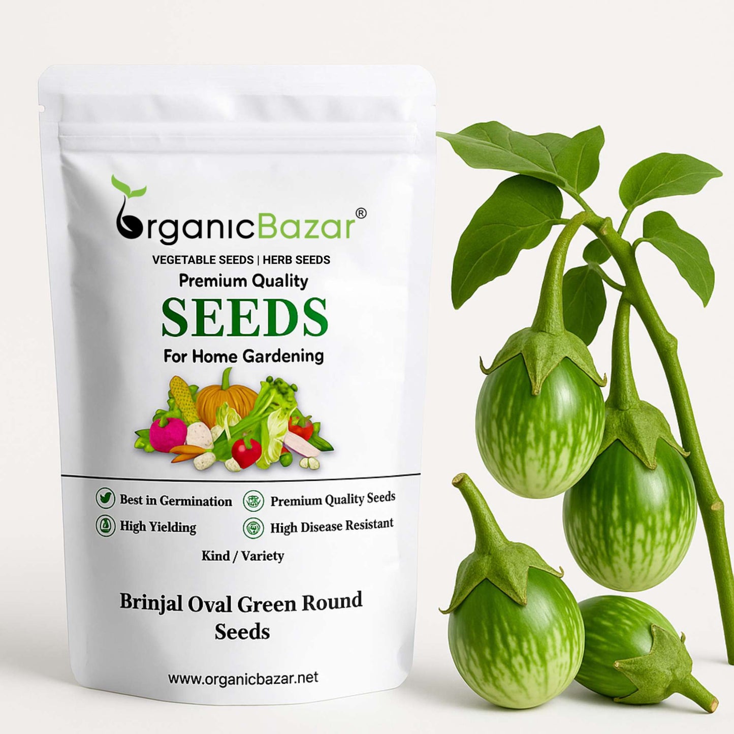 Brinjal Oval Green Round Seeds - (50 Seeds) High Germination/ High Yield / Ideal for Terrace/Kitchen Gardening (Baingan/Eggplant/बैंगन के बीज)