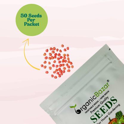 Brinjal Oval Light Purple Seeds - (50 Seeds) High Germination/ High Yield / Ideal for Terrace/ Kitchen Gardening (Bainganee Baingan/Eggplant/बैंगनी बैंगन के बीज)