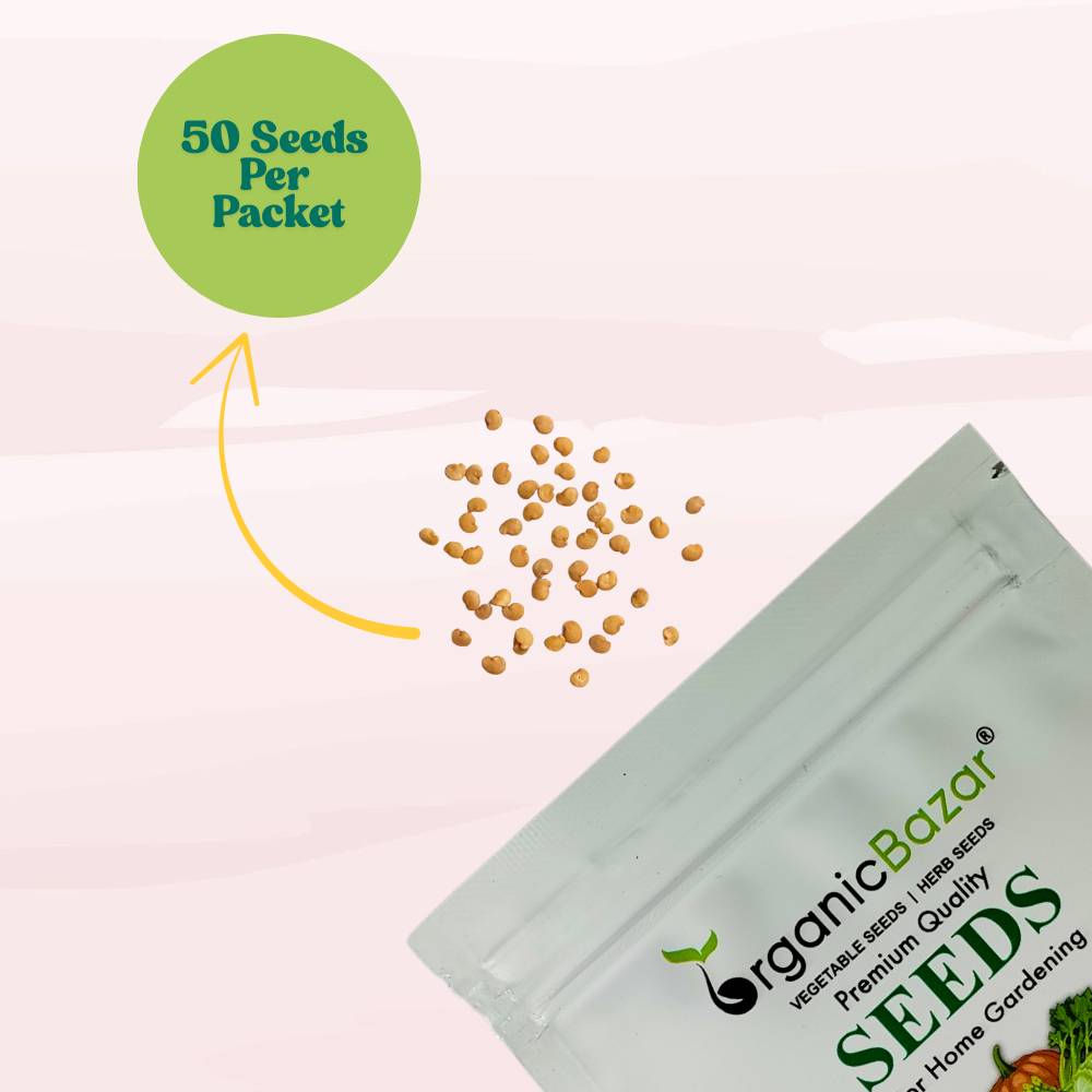 Brinjal Pink Medium Long F1 Hybrid Seeds - (50 Seeds) High Germination/ High Yield / Ideal for Terrace/Kitchen Gardening (Pink Baingan/Eggplant/गुलाबी बैंगन के बीज)