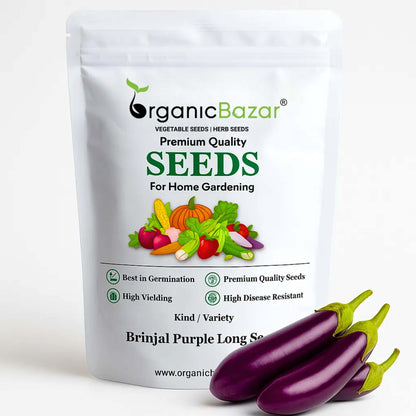 Brinjal Purple Long Seeds - (50 Seeds) High Germination/ High Yield / Ideal for Terrace/Kitchen Gardening  (Bainganee Baingan/Eggplant/बैंगनी बैंगन के बीज)