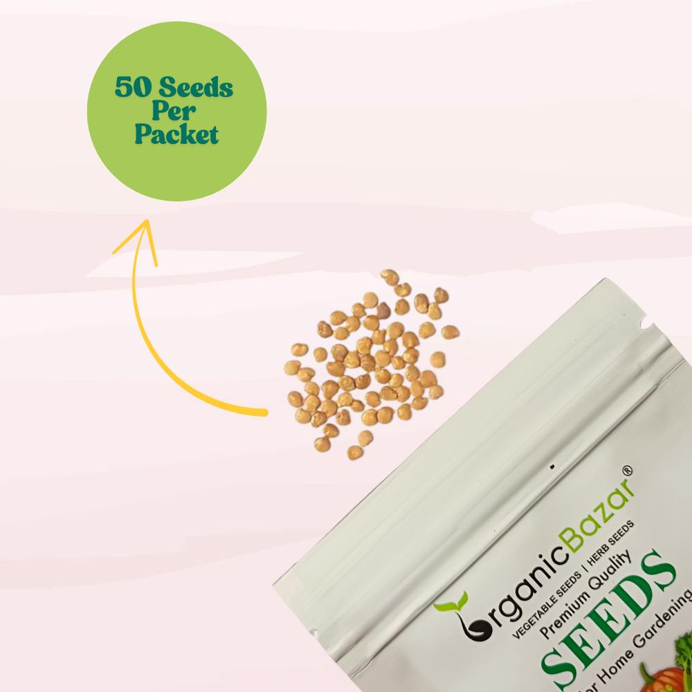 Brinjal Seeds Black - 50 Seeds) High Germination/ High Yield / Ideal for Terrace/Kitchen Gardening (Black Baingan/eggplant/ब्लैक बैंगन के बीज)