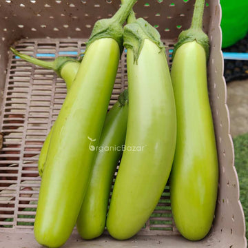 Green Brinjal Seeds (Long) - 50 Seeds (Lamba hara Baingan/Eggplant/लंबा बैंगन के बीज)