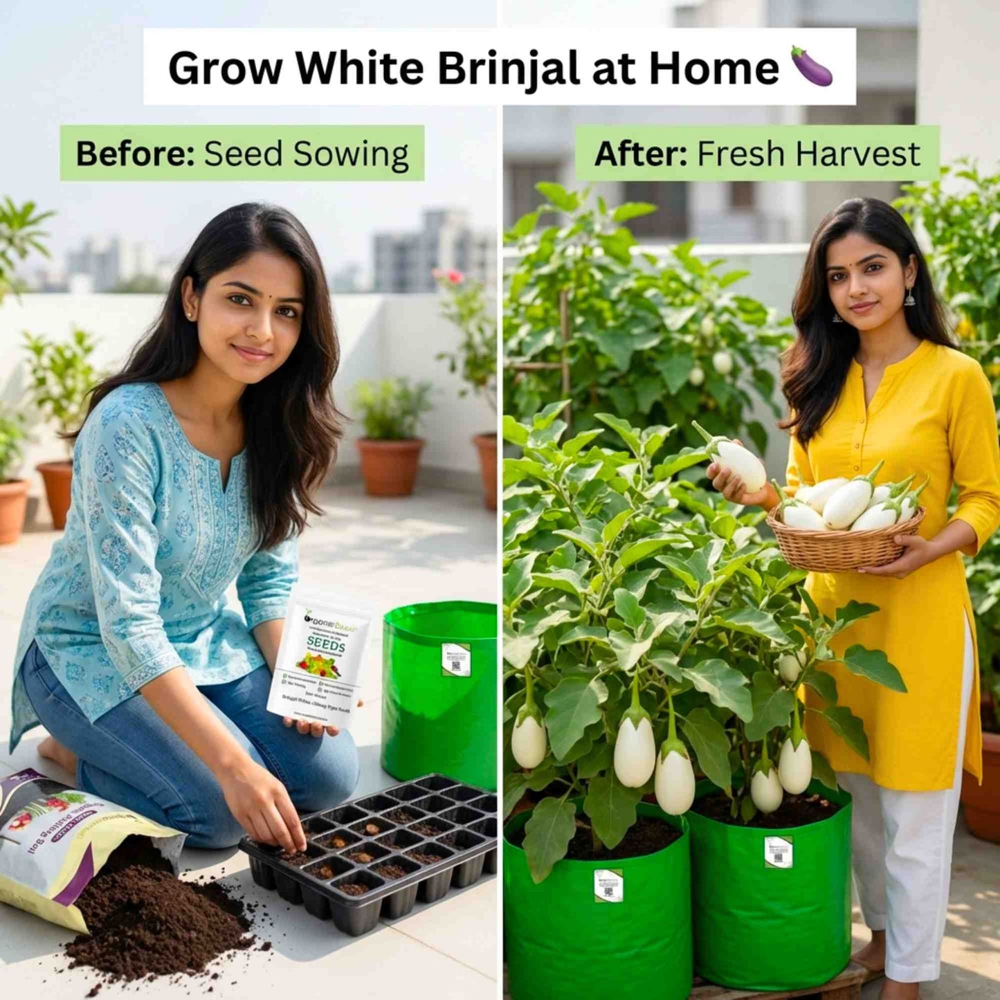 Brinjal White (Oblong Type) Seeds - (50 Seeds) High Germination/ High Yield / Ideal for Terrace/Kitchen Gardening (Baingan/eggplant/ बैंगन के बीज)