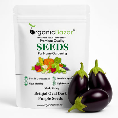Brinjal Oval Dark Purple Seeds - (50 Seeds) High Germination/ High Yield / Ideal for Terrace/Kitchen Gardening (Bainganee Baingan/Eggplant/बैंगनी बैंगन के बीज)