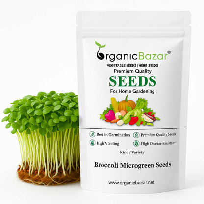 Broccoli Microgreen Seeds (10g)