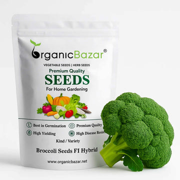 Broccoli Seeds F1 Hybrid - 150 Seeds (Hari Gobhi/हरी गोभी/ब्रोकली के बीज) High Germination /Easy to Grow/Ideal for Terrace/Kitchen Gardening