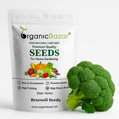 Broccoli Seeds - 150 Seeds (Hari Gobhi/हरी गोभी/ब्रोकली के बीज) High Germination /Easy to Grow/Ideal for Terrace/Kitchen Gardening