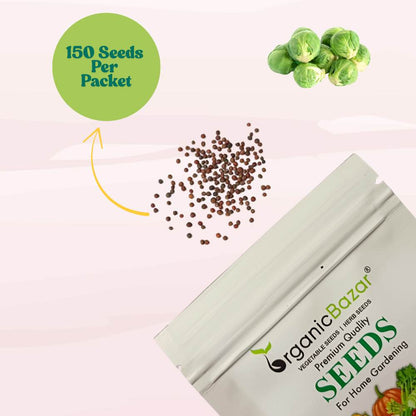 Brussels Sprouts Seeds - 150 Seeds (ब्रसेल्स स्प्राउट्स के बीज) High Germination /High yield /Ideal for Terrace/Kitchen Gardening