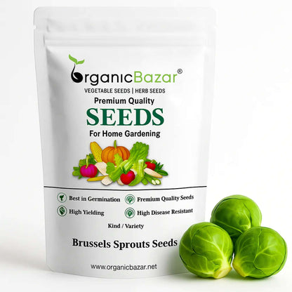 Brussels Sprouts Seeds - 150 Seeds (ब्रसेल्स स्प्राउट्स के बीज) High Germination /High yield /Ideal for Terrace/Kitchen Gardening