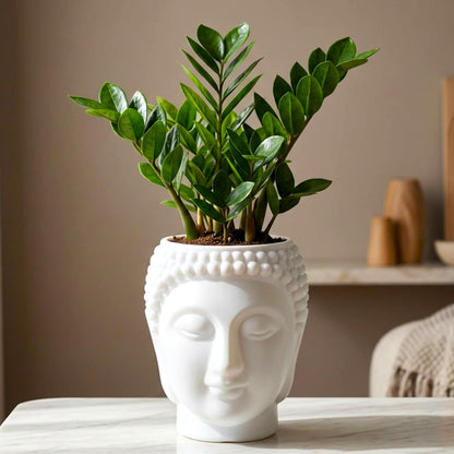 Buddha Face Planter Plastic Pot (Pack of 1) – Luxury Geometric Designer Unique Plant Pots for Living Room, Bedroom, Office, Villa, & premium commercial interiors