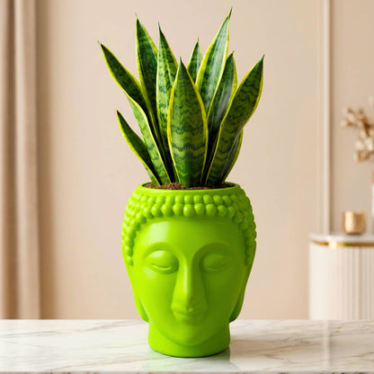 Buddha Face Planter Plastic Pot (Pack of 1) – Luxury Geometric Designer Unique Plant Pots for Living Room, Bedroom, Office, Villa, & premium commercial interiors