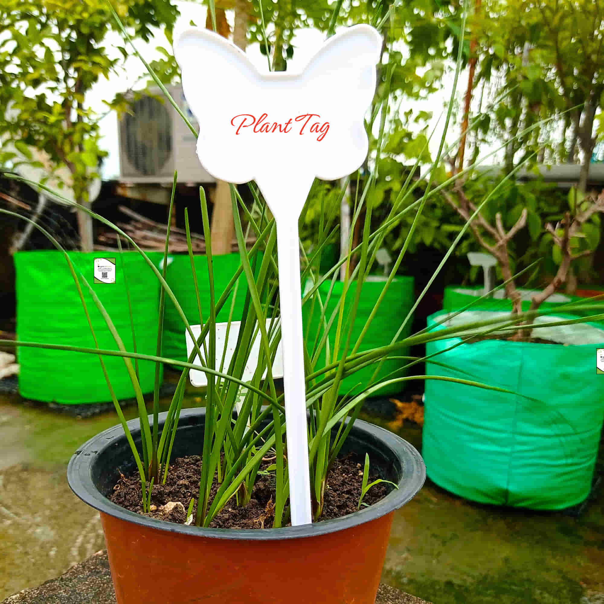 OrganicBazar Butterfly Plant Tag for Nursery & Home Garden | Butterfly Tag Garden Labels for Terrace Garden
