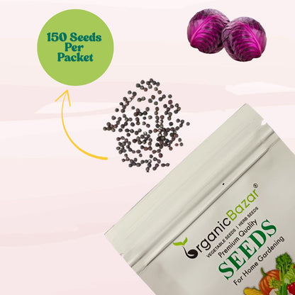 Cabbage Red Seeds - 150 Seeds (Lal Patta gobhi) (लाल पत्ता गोभी के बीज) High Germination / Easy to Grow / Ideal for Terrace/Kitchen Gardening