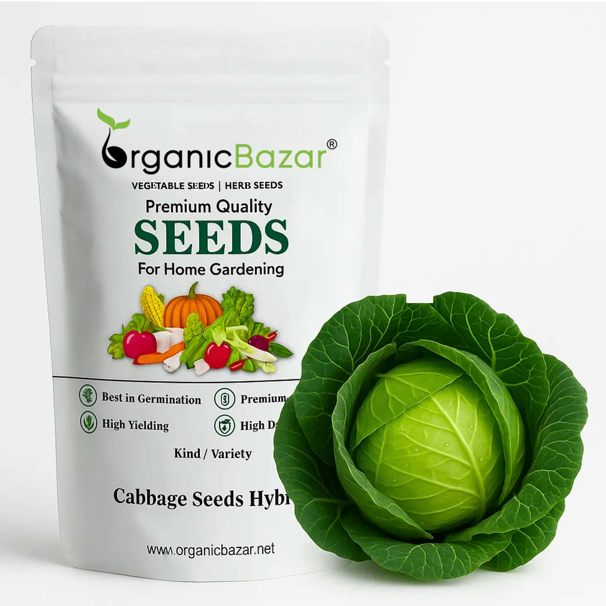 Cabbage (Patta Gobhi) Seeds Hybrid - 150 Seeds (Hari Patta Gobhi/हरी पत्ता गोभी के बीज) High Germination / Easy to Grow / Ideal for Terrace/Kitchen Gardening