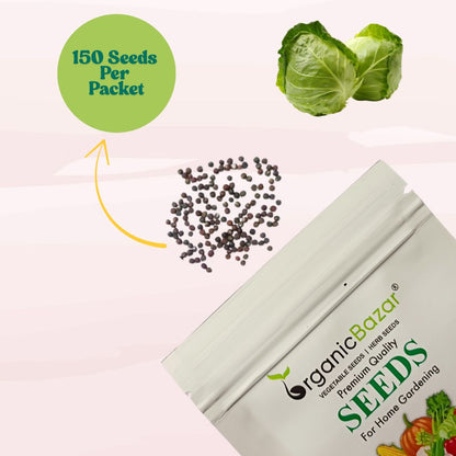 Cabbage (Patta Gobhi) Seeds  - 150 Seeds (Hari Patta Gobhi/हरी पत्ता गोभी के बीज) High Germination / Easy to Grow / Ideal for Terrace/Kitchen Gardening