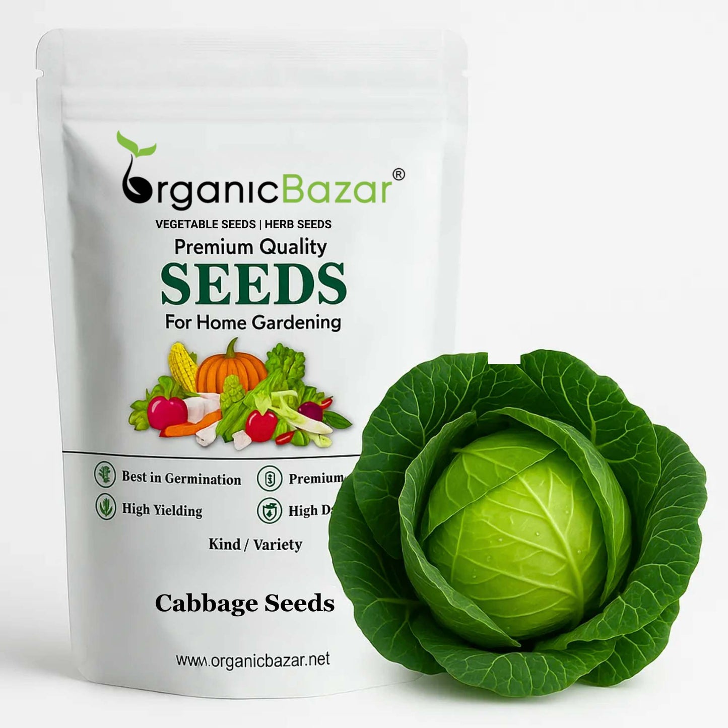 Cabbage (Patta Gobhi) Seeds  - 150 Seeds (Hari Patta Gobhi/हरी पत्ता गोभी के बीज) High Germination / Easy to Grow / Ideal for Terrace/Kitchen Gardening