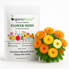 Calendula Officinalis Fiesta Gitana Mix Seeds - 100 Seeds (Pot marigold/पॉट मैरीगोल्ड के बीज)