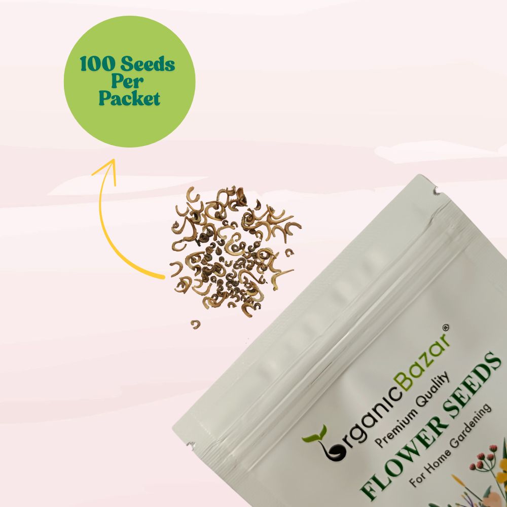 Calendula Officinalis Fiesta Gitana Yellow Seeds - 100 Seeds (Pot marigold/पॉट मैरीगोल्ड के बीज)  High germination/Easy To grow/ Perfect for pots, balconies, or Terrace gardens