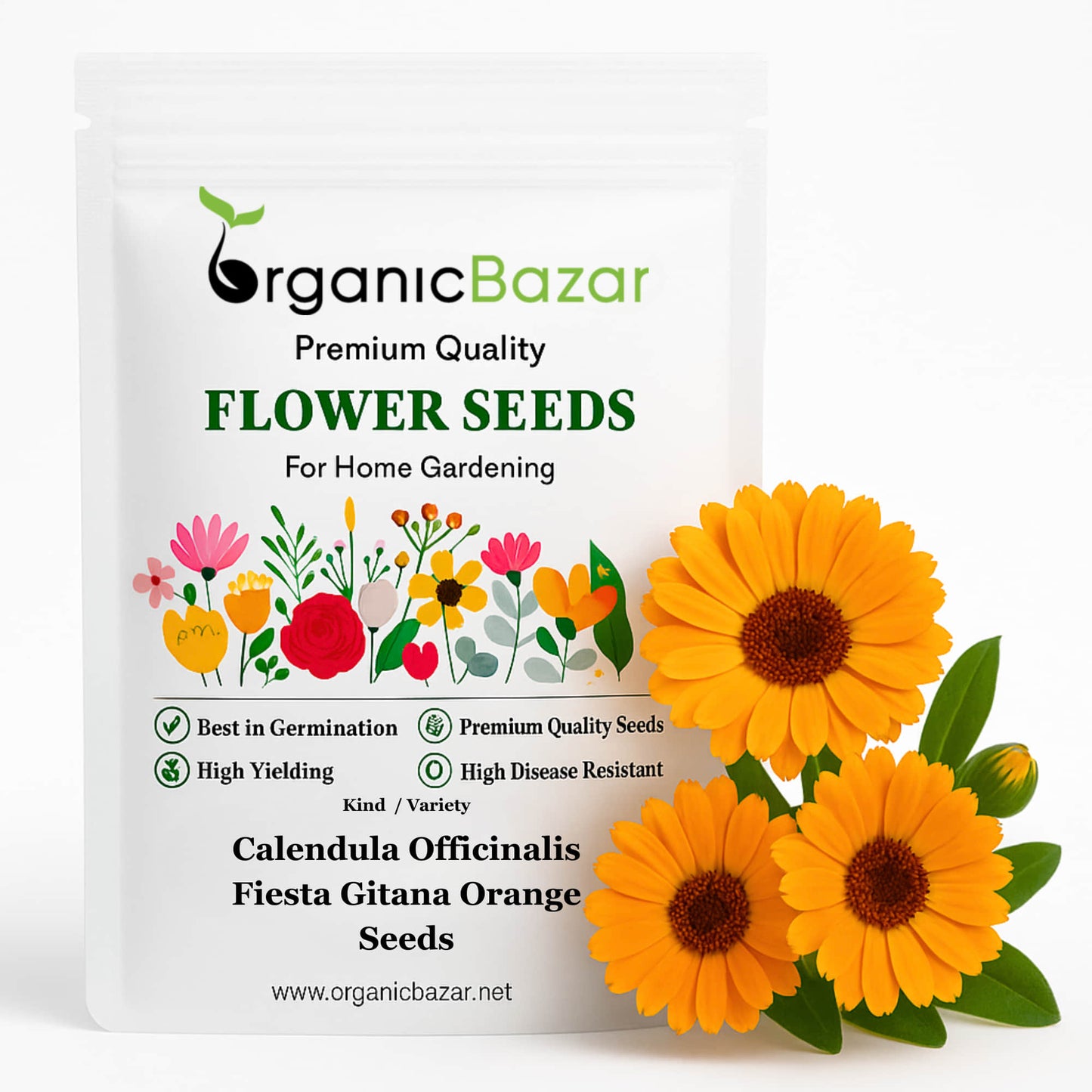 Calendula Officinalis Fiesta Gitana Orange Seeds - 100 Seeds (Pot marigold/पॉट मैरीगोल्ड के बीज) High germination/Easy To grow/ Perfect for pots, balconies, or Terrace gardens