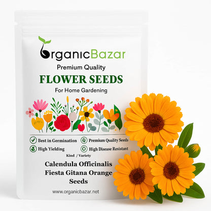 Calendula Officinalis Fiesta Gitana Orange Seeds - 100 Seeds (Pot marigold/पॉट मैरीगोल्ड के बीज) High germination/Easy To grow/ Perfect for pots, balconies, or Terrace gardens