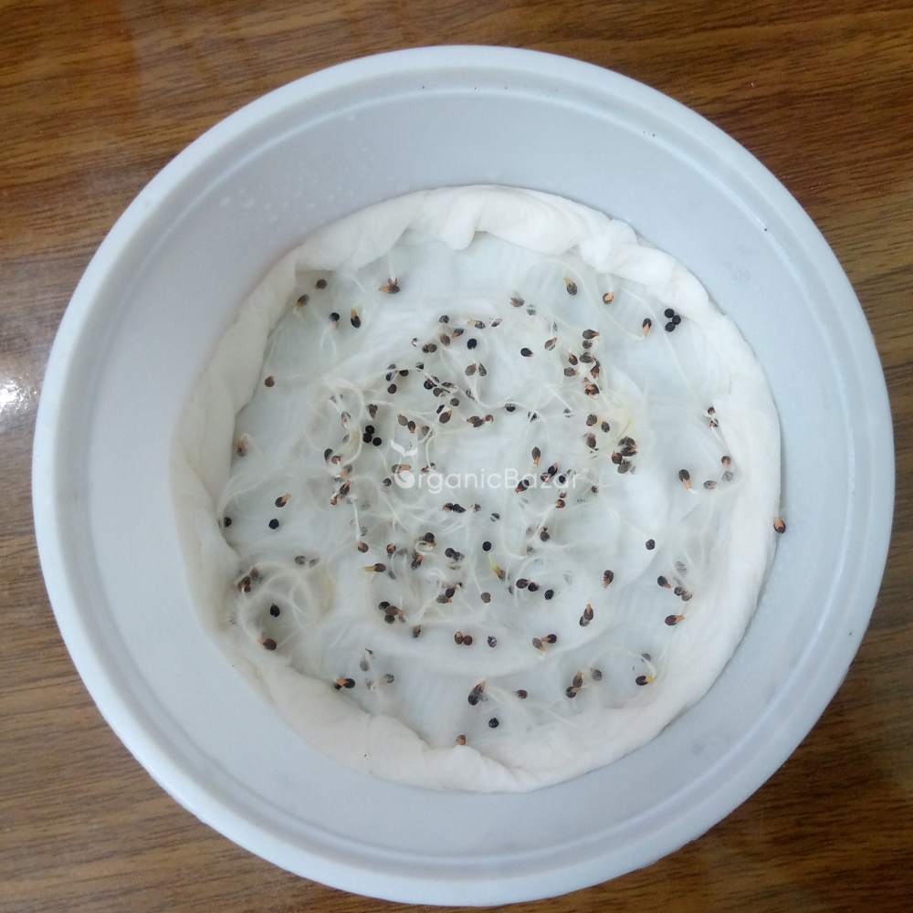 California Poppy Mix Seeds - 200 Seeds (Khus Khus/Posta/पोस्ता के फूल)