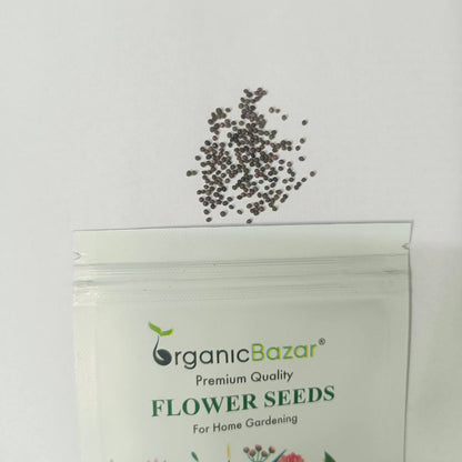 California Poppy White Seeds - 200 Seeds (Khus Khus/Posta/पोस्ता के फूल)