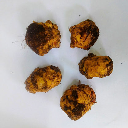 Calla Lily Pink Flower Bulbs