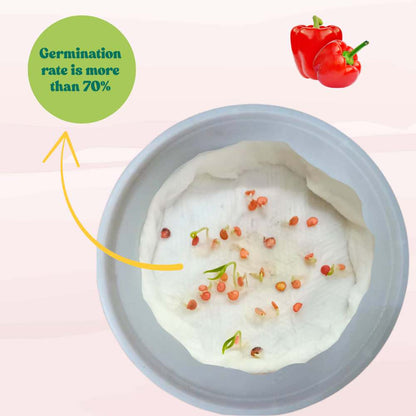 Capsicum Red ( Lal Shimla Mirch) Seeds - (30 Seeds) High Yield | High Germination | Best for Home Gardens ( लाल शिमला मिर्च के बीज)