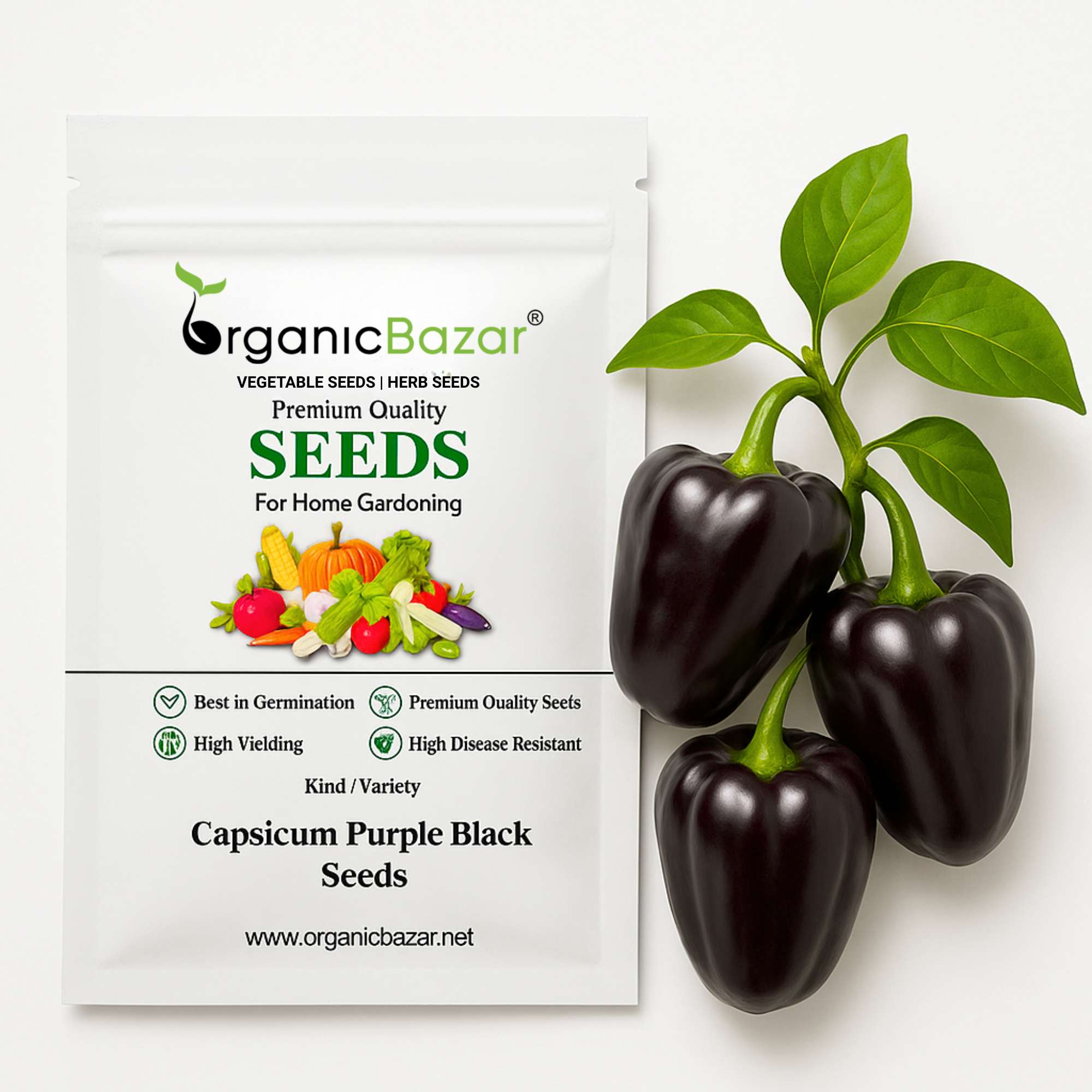 Capsicum Purple Black Seeds - (30 Seeds) High Yield | High Germination | Best for Home Gardens (Shimla Mirch / बैंगनी शिमला मिर्च)