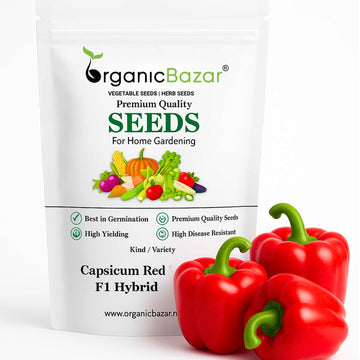 Capsicum Red ( Lal Shimla Mirch) F1 Hybrid Seeds - (30 Seeds) High Yield | High Germination | Best for Home Gardens ( लाल शिमला मिर्च के बीज)