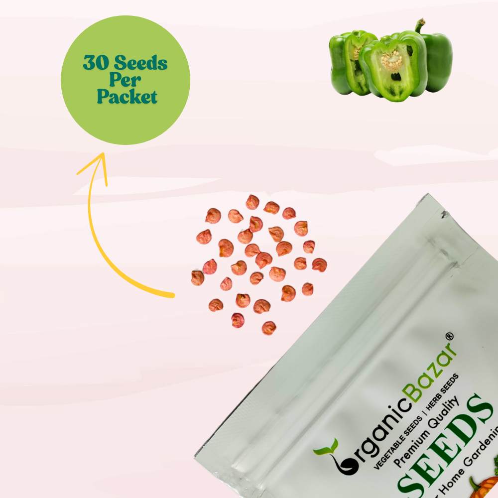 Capsicum (Hari Shimla Mirch) Seeds F1 Hybrid - (30 Seeds) High Yield | High Germination | Best for Home Gardens (हरी शिमला मिर्च के बीज)